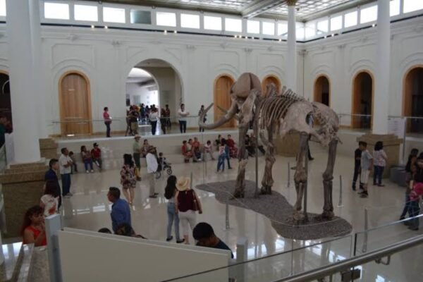 muref_museo_5