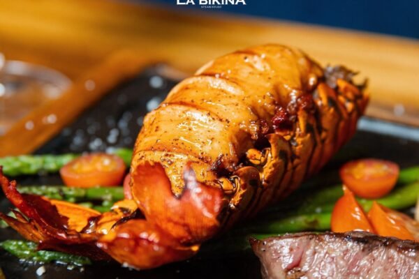 Bikina (8)