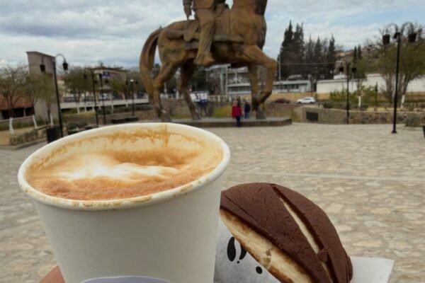 cafedevilla_parral_4