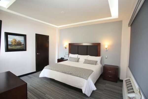 hotelbiezma_parral_7