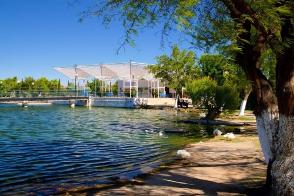 parquecentral_3